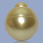 Dazzling Giant 14.9 x 16.8mm 24.7 Carats Rich Gold South Sea Pearl