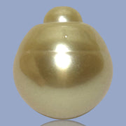 Dazzling Giant 14.9 x 16.8mm 24.7 Carats Rich Gold South Sea Pearl