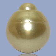 Dazzling Giant 14.9 x 16.8mm 24.7 Carats Rich Gold South Sea Pearl