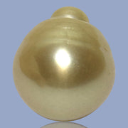 Dazzling Giant 14.9 x 16.8mm 24.7 Carats Rich Gold South Sea Pearl