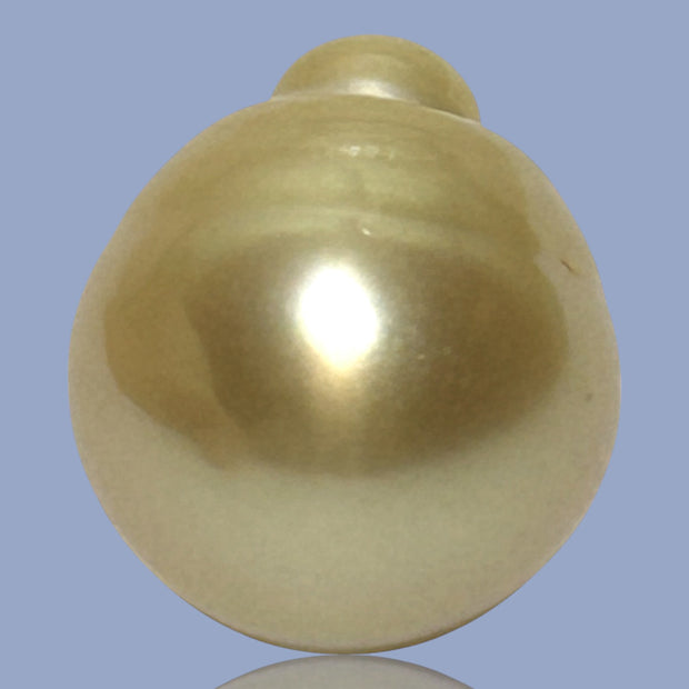 Dazzling Giant 14.9 x 16.8mm 24.7 Carats Rich Gold South Sea Pearl