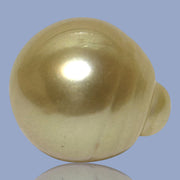 Dazzling Giant 14.9 x 16.8mm 24.7 Carats Rich Gold South Sea Pearl