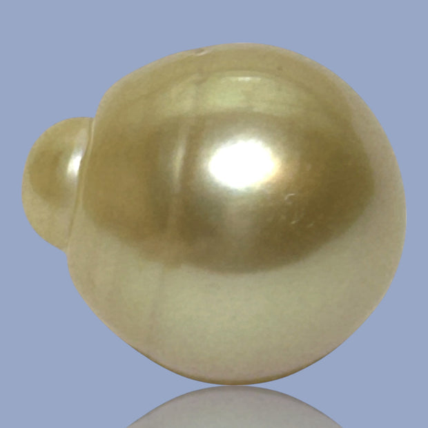 Dazzling Giant 14.9 x 16.8mm 24.7 Carats Rich Gold South Sea Pearl