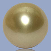 Dazzling Giant 14.9 x 16.8mm 24.7 Carats Rich Gold South Sea Pearl