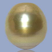 Fantastic Giant 14.5 x 15.7mm 24.6 Carats Deep Gold South Sea Pearl