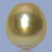 Fantastic Giant 14.5 x 15.7mm 24.6 Carats Deep Gold South Sea Pearl