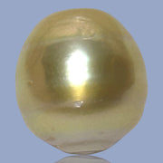 Fantastic Giant 14.5 x 15.7mm 24.6 Carats Deep Gold South Sea Pearl