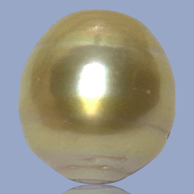 Fantastic Giant 14.5 x 15.7mm 24.6 Carats Deep Gold South Sea Pearl