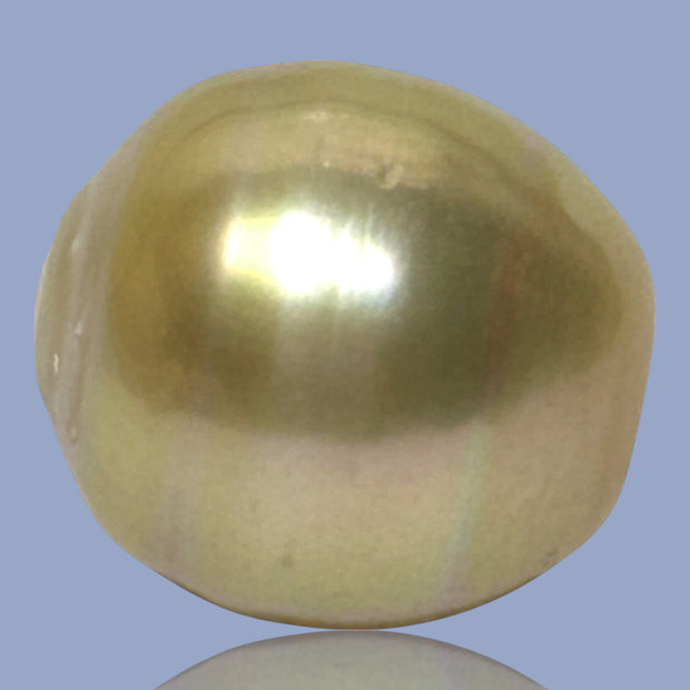 Fantastic Giant 14.5 x 15.7mm 24.6 Carats Deep Gold South Sea Pearl