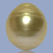 Silky Oval 13.3 x 15.1mm 19.5 Carats Deep Gold South Sea Pearl Loose