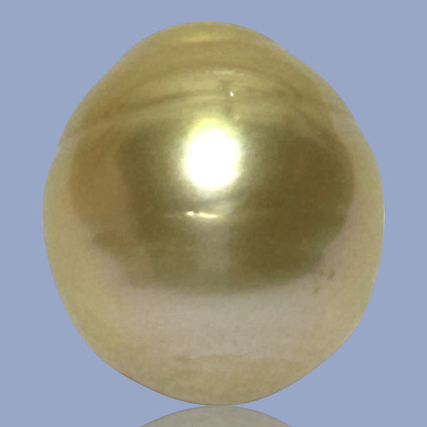 Silky Oval 13.3 x 15.1mm 19.5 Carats Deep Gold South Sea Pearl Loose