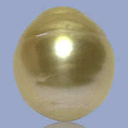 Silky Oval 13.3 x 15.1mm 19.5 Carats Deep Gold South Sea Pearl Loose