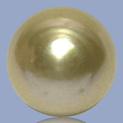 Silky Oval 13.3 x 15.1mm 19.5 Carats Deep Gold South Sea Pearl Loose