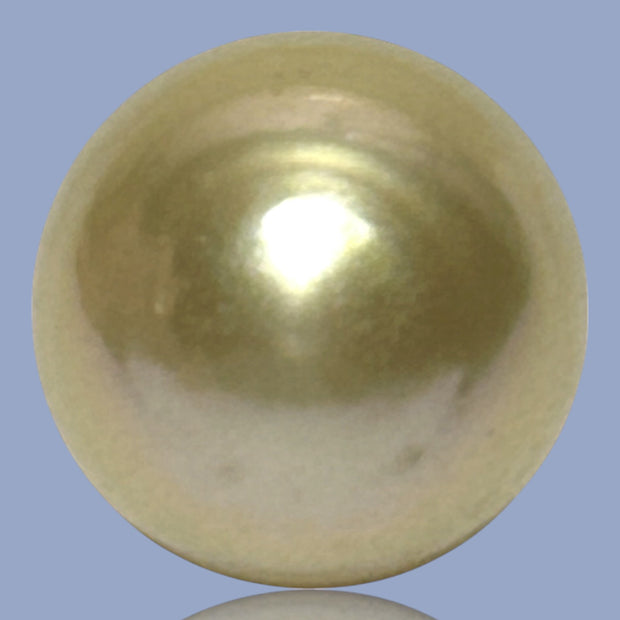 Silky Oval 13.3 x 15.1mm 19.5 Carats Deep Gold South Sea Pearl Loose