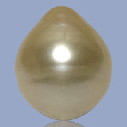 Teardrop 14.1 x 16.5mm 21.6 Carat Natural Gold South Sea Pearl Loose