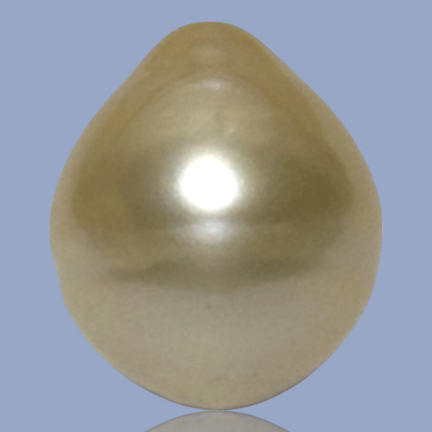 Teardrop 14.1 x 16.5mm 21.6 Carat Natural Gold South Sea Pearl Loose