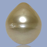 Teardrop 14.1 x 16.5mm 21.6 Carat Natural Gold South Sea Pearl Loose