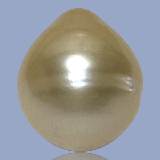 Teardrop 14.1 x 16.5mm 21.6 Carat Natural Gold South Sea Pearl Loose