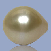 Teardrop 14.1 x 16.5mm 21.6 Carat Natural Gold South Sea Pearl Loose