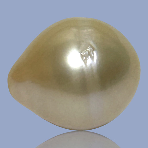 Teardrop 14.1 x 16.5mm 21.6 Carat Natural Gold South Sea Pearl Loose