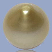 Teardrop 14.1 x 16.5mm 21.6 Carat Natural Gold South Sea Pearl Loose