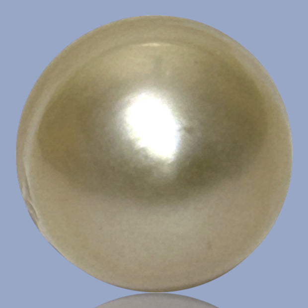 Teardrop 14.1 x 16.5mm 21.6 Carat Natural Gold South Sea Pearl Loose