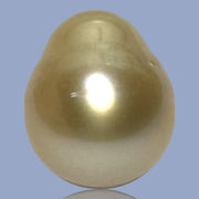 Oval Drop 14.3 x 17mm 23.3 Carats Rich Gold South Sea Pearl Loose