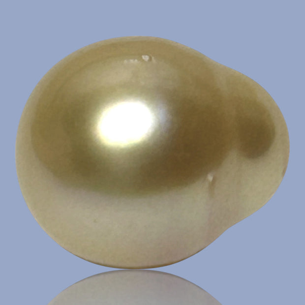 Oval Drop 14.3 x 17mm 23.3 Carats Rich Gold South Sea Pearl Loose