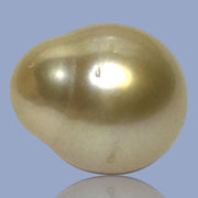 Oval Drop 14.3 x 17mm 23.3 Carats Rich Gold South Sea Pearl Loose