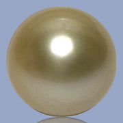 Oval Drop 14.3 x 17mm 23.3 Carats Rich Gold South Sea Pearl Loose