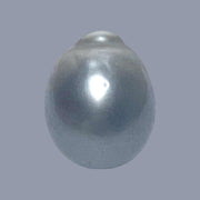 Oval 16.8 Carat 12.8 x 16.1mm Peacock Gray Tahitian Sea Pearl Loose