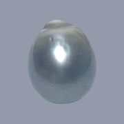 Oval 16.8 Carat 12.8 x 16.1mm Peacock Gray Tahitian Sea Pearl Loose