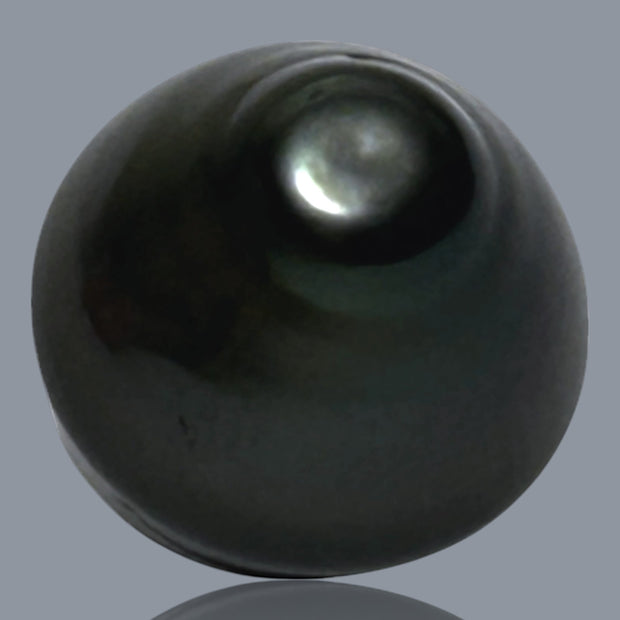 Silky Giant 13.4 x 14.2mm Peacock Black Green Tahitian Pearl Loose