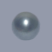 Oval 16.8 Carat 12.8 x 16.1mm Peacock Gray Tahitian Sea Pearl Loose