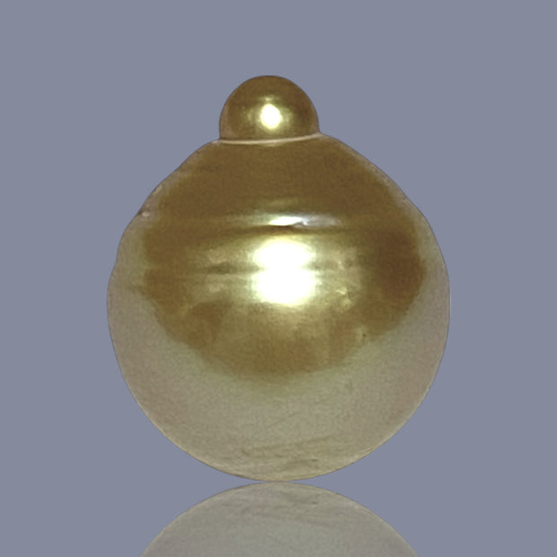 Oval Giant 15 x 17.6mm 24.7 Carats Deep Gold South Sea Loose Pearl