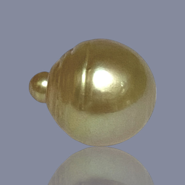 Oval Giant 15 x 17.6mm 24.7 Carats Deep Gold South Sea Loose Pearl