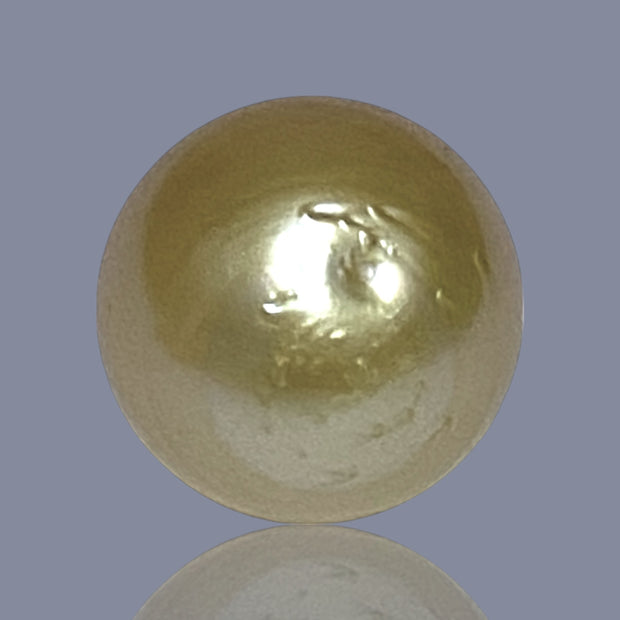 Oval Giant 15 x 17.6mm 24.7 Carats Deep Gold South Sea Loose Pearl