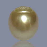 Oval Giant 16.9 x 19.2mm 40.2 Carats Deep Gold South Sea Loose Pearl