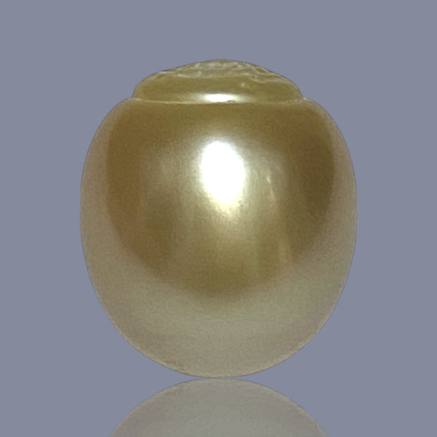 Oval Giant 16.9 x 19.2mm 40.2 Carats Deep Gold South Sea Loose Pearl