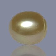 Oval Giant 16.9 x 19.2mm 40.2 Carats Deep Gold South Sea Loose Pearl