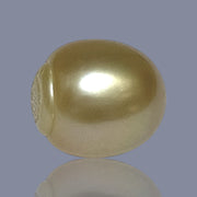 Oval Giant 16.9 x 19.2mm 40.2 Carats Deep Gold South Sea Loose Pearl