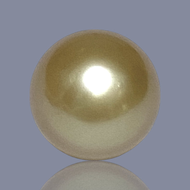 Oval Giant 16.9 x 19.2mm 40.2 Carats Deep Gold South Sea Loose Pearl