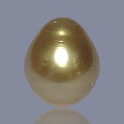 RARE Oval 15.7 x 18.7mm 30.6 Carats Deep Gold South Sea Pearl Loose