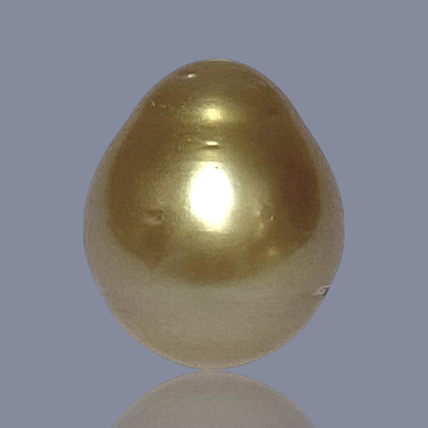 RARE Oval 15.7 x 18.7mm 30.6 Carats Deep Gold South Sea Pearl Loose