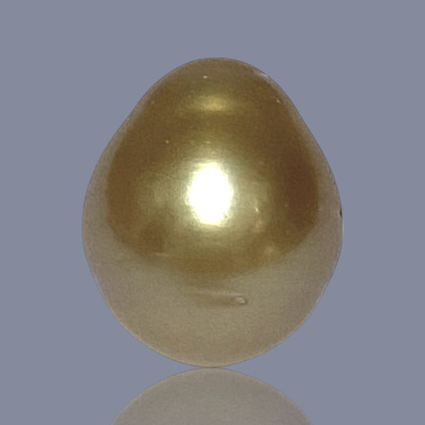 RARE Oval 15.7 x 18.7mm 30.6 Carats Deep Gold South Sea Pearl Loose