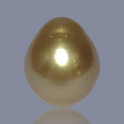 RARE Oval 15.7 x 18.7mm 30.6 Carats Deep Gold South Sea Pearl Loose