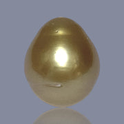 RARE Oval 15.7 x 18.7mm 30.6 Carats Deep Gold South Sea Pearl Loose