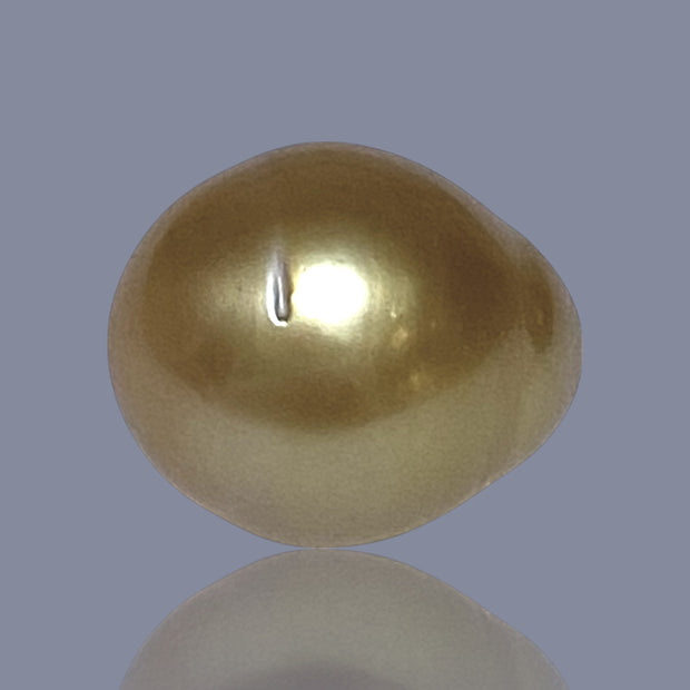 RARE Oval 15.7 x 18.7mm 30.6 Carats Deep Gold South Sea Pearl Loose