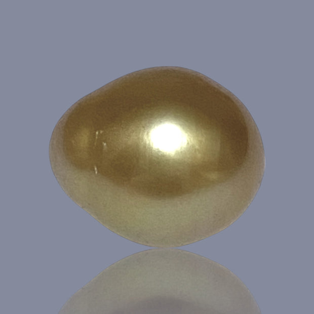 RARE Oval 15.7 x 18.7mm 30.6 Carats Deep Gold South Sea Pearl Loose