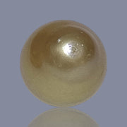 RARE Oval 15.7 x 18.7mm 30.6 Carats Deep Gold South Sea Pearl Loose